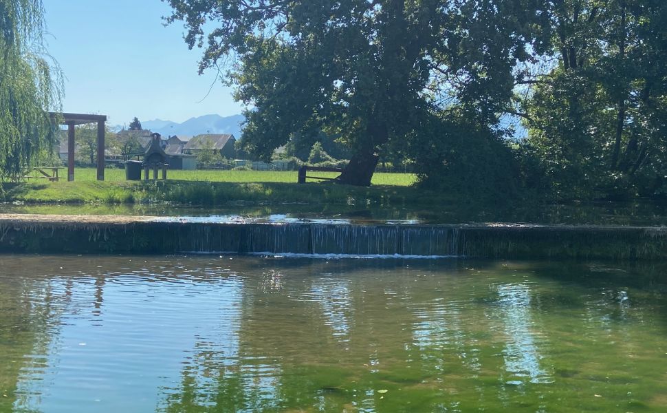 Superbe Château Renaissance datant du XVIIe siècle, avec un parc de 5,8 hectares